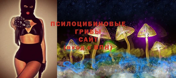 твердый Новокубанск